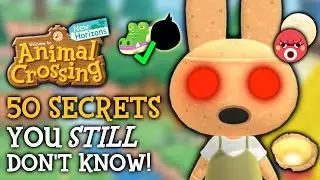 50 Animal Crossing Secrets & Facts You STILL Don’t Know