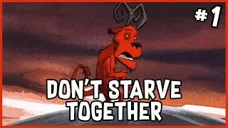 Year of the Beefalo & New Dedicated Server | Dont Starve Together - Community Server 5 (#1)