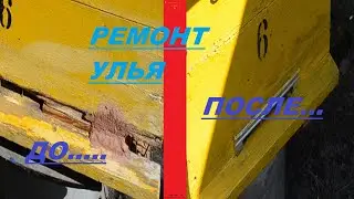 Простой ремонт улья. Любого. Надежный ремонт.