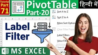 MS-EXCEL-71-Label Filter in Pivot Table | Filter data in a Pivot Table | Filter by Labels Text