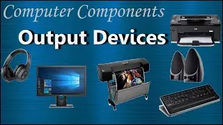 Output Devices of Computer| (Examples and purpose) | Virtual Reality