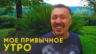 Мое привычное утро / Владимир Мунтян