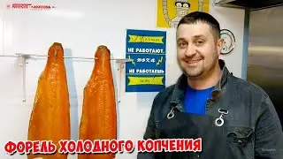 🔥 ФОРЕЛЬ ХОЛОДНОГО КОПЧЕНИЯ 🔥 КОПТИЛЬНЯ МОСКИТ