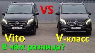 Мерседес Вито и V-класс. Отличия и особенности. Что выбрать?