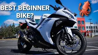 KAWASAKI NINJA 300 REVIEW | BEST BEGINNER BIKE?