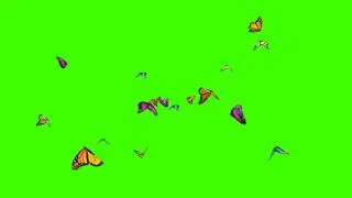 Green Screen Spring Butterfly || Free Copyright || Use For Video Editing