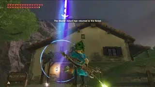 After 7 years of BOTW, did you know that the Master Sword CAN DO this?