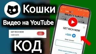 КОТЫ РАЗБОГАТЕТЕ СЕЙЧАС ВИДЕОКОД | Как разбогатеть, начав с $0 | Часть 2