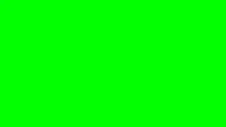 Ten mins. Blank Green Screen HD