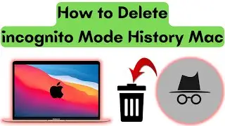 How to Delete Incognito Mode History on Mac | Macbook Delete Incognito Mode History (2023)