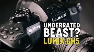 Is the GH5 Still a Great Buy in 2024? Pros, Cons & How to Fix Common Complaints