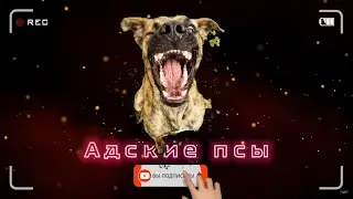 Адские псы | Злые но очень тупые коллекторы