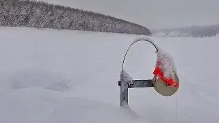 НА ЖЕРЛИЦЫ СССР! БЕШЕННЫЙ ЖОР! Рыбалка в Якутии, первый лёд