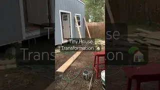 Building a tiny house on our land. #tinyhouse #homestead #transformation