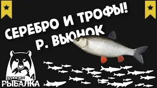 Река Вьюнок. Трофейный Голавль. Фарм серебра. Русская рыбалка 4.