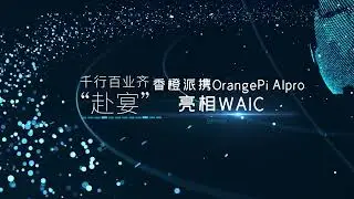 Orange Pi AIPro by Orange Pi Shines at WAIC 2024!