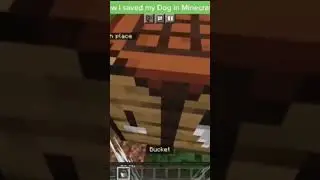 How I saved my dog in minecraft...