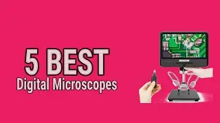 5 Best Digital Microscopes 2021