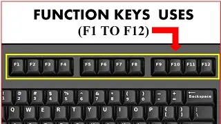 Function Key of Computer | Use of function keys F1 to F12 | function keys F1 to F12 in hindi