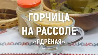 Горчица на рассоле «Ядреная» — домашняя горчица от аромата которой перехватывает дыхание