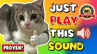 Mother cat calling for her kittens sound effect ⭐ mom cat sounds