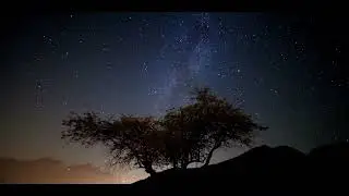 CHINESE FLUTE. КИТАЙСКАЯ ФЛЕЙТА