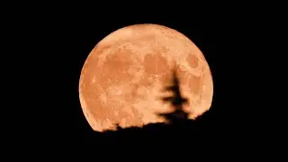 the supermoon last night