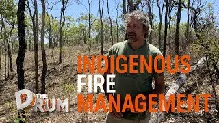 Three things I know about fire management | The Drum