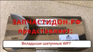 Вкладыши шатунные WP7