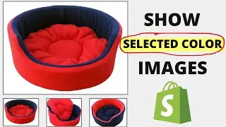 Shopify Multiple Variant Images - (How to Display Images Specific to the Selected Variant) No App