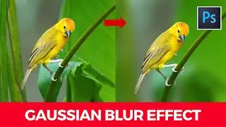 How to use gaussian blur effect in photoshop