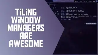 Why I Use Tiling Window Managers - And Why You Should Too