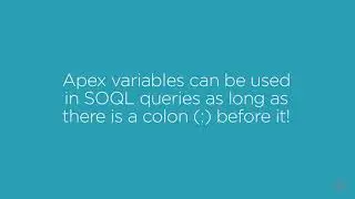 4 6 Bind Variables/SALESFORCE-The power of SOQL/VL INFOTECH