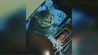 Наконец-то я нашёл того самого диспетчера который на вокзале сидит)))