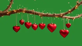 Valentines day decoration green screen |Happy valentines day green screen