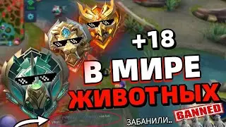 В МИРЕ ЖИВОТНЫХ или КАК ПОЛУЧИТЬ БАН В МОБАЙЛ ЛЕГЕНДС MOBILE LEGENDS