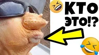 😁 Лютые Приколы ► КТО ЭТО !? (Смешные мемы. Угарные Приколы и Лучшие Мемы)