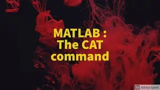 MATLAB : The CAT command