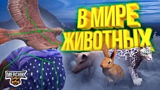 В МИРЕ ЖИВОТНЫХ - ROXLAND RP