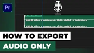 How to export audio in Premiere Pro  | Separated audio file