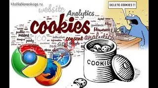 Как включить поддержку файлов cookies в браузере