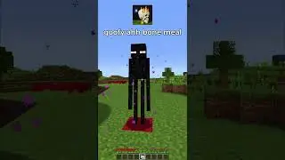 goofy ahh bone meal in minecraft 🦴💀🦴