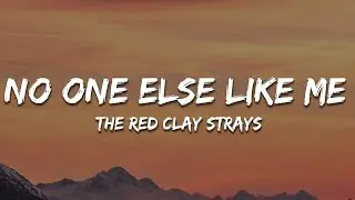 The Red Clay Strays - No One Else Like Me (Lyrics)