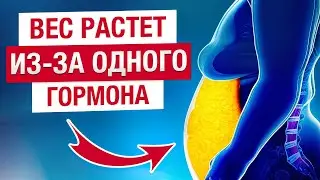 Из-за ЭТОГО лишний вес НИКОГДА не УЙДЕТ! / Как снизить уровень кортизола в организме?