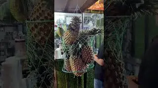 В ИНДИИ ЕСТЬ НА КАЖДОМ УГЛУ 
