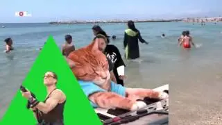 YTP NOS Jornnal part 1