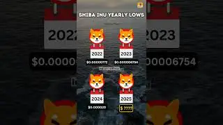 Shiba Inu coin 