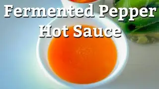 🔥 EASY Lacto Fermented Hot Sauce Recipe That ANYONE CAN MAKE | Femented 🌶 Serrano Pepper Hot Sauce