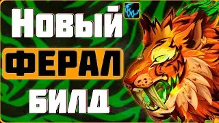 🐱 Новый PvP Билд на Ферал Друида ТВВ | Сила зверя Друид | ПвП WoW the War Within 11.0.2 #wow #jekoma