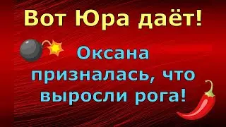 Новый день / Лена и Ваня LIFE / Вот Юра даёт! Оксана призналась, что выросли рога! / Обзор влогов